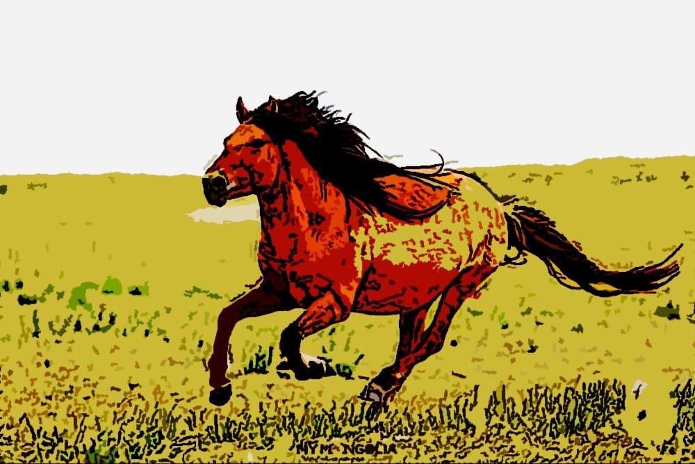 Хурдан шаргын домог