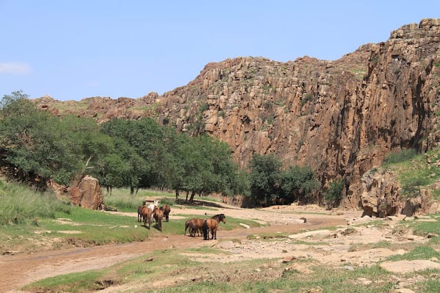 лсёжжжжжжжжжжтжу